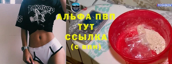прущие крисы Инта