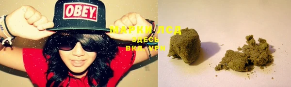 прущие крисы Инта