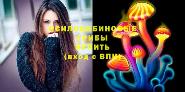 прущие крисы Инта