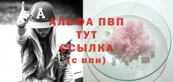 прущие крисы Инта